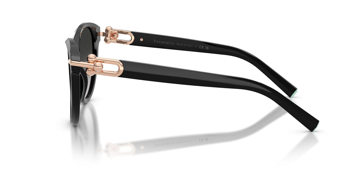 Tiffany & Co TF4261 8001/3C Sunglasses