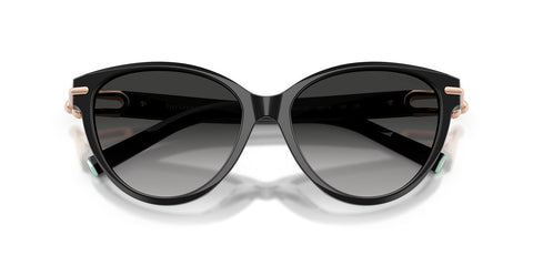 Tiffany & Co TF4261 8001/3C Sunglasses