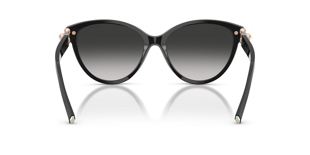 Tiffany & Co TF4261 8001/3C Sunglasses