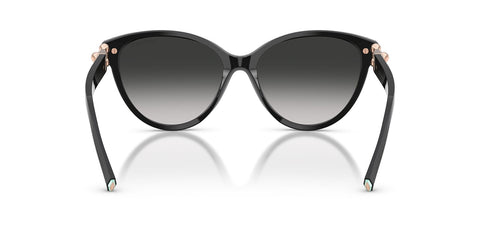 Tiffany & Co TF4261 8001/3C Sunglasses
