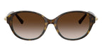 Tiffany & Co TF4263D 8134/3B Sunglasses