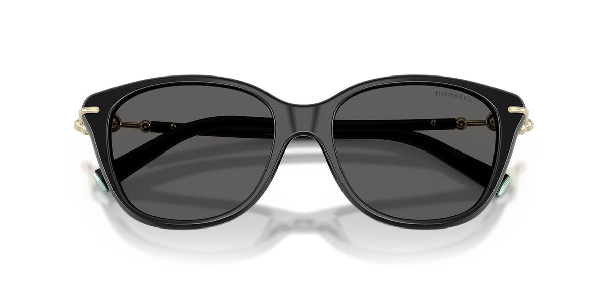 Tiffany & Co TF4267 8001/S4 Sunglasses