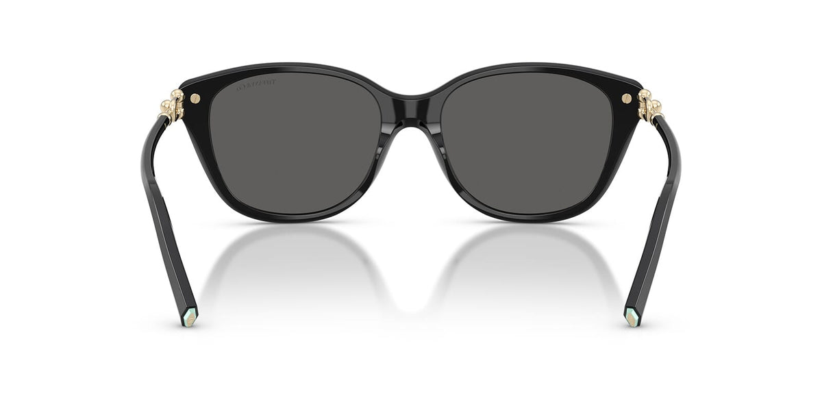 Tiffany & Co TF4267 8001/S4 Sunglasses