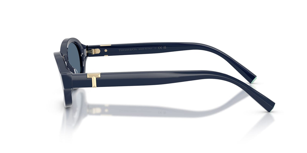 Tiffany & Co TF4270U 8396/80 Sunglasses