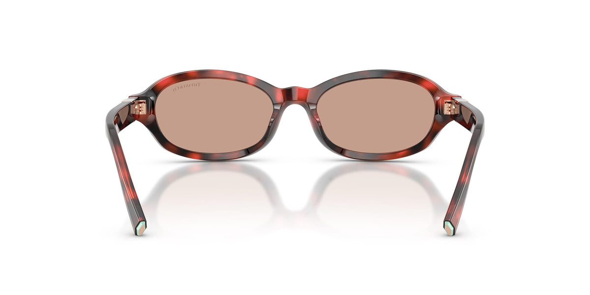 Tiffany & Co TF4270U 8478/73 Sunglasses
