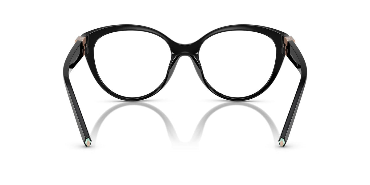 Tiffany & Co TF2255U 8001 Glasses