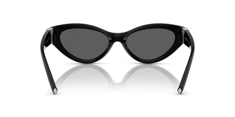 Tiffany & Co TF4225U 8001/S4 Sunglasses