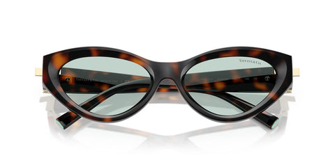 Tiffany & Co TF4225U 8429/D9 Sunglasses