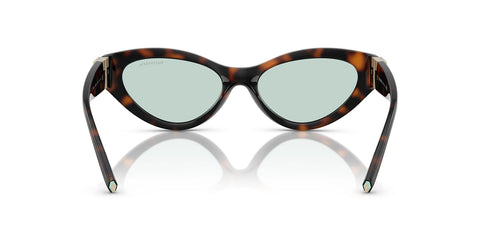 Tiffany & Co TF4225U 8429/D9 Sunglasses