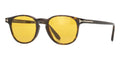 Tom Ford Holt-02 TF1302 52E Sunglasses