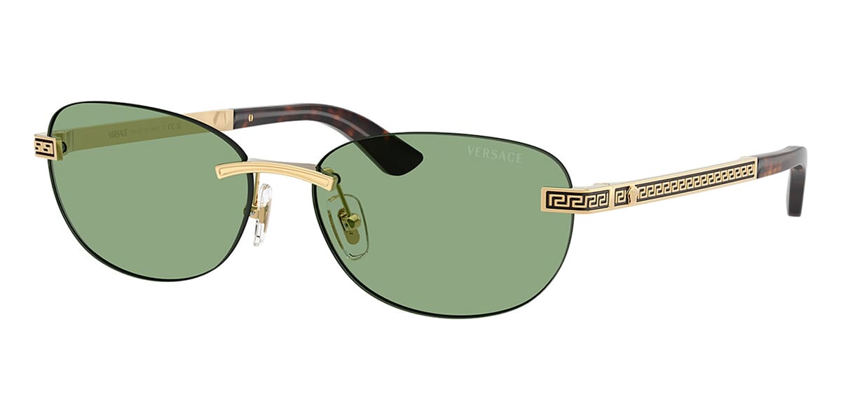 Versace 2307 1523/82 Sunglasses