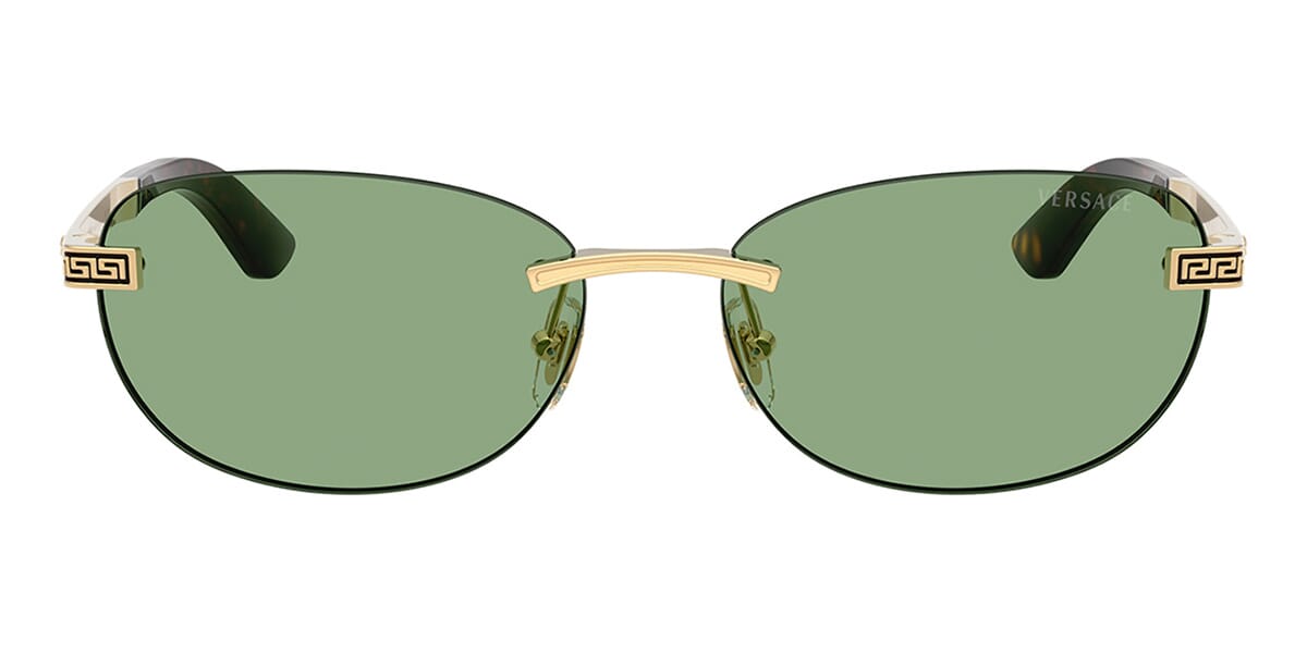 Versace 2307 1523/82 Sunglasses