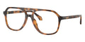 Versace 3397U 5264 Glasses