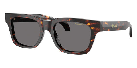 Versace 4486 5509/81 Polarised Sunglasses