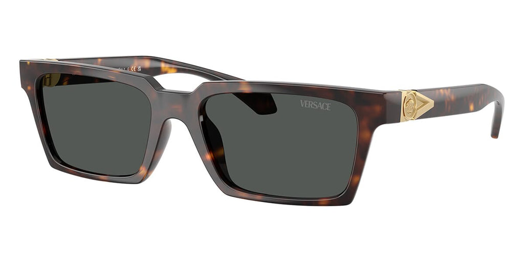 Versace 4490U 108/87 Sunglasses