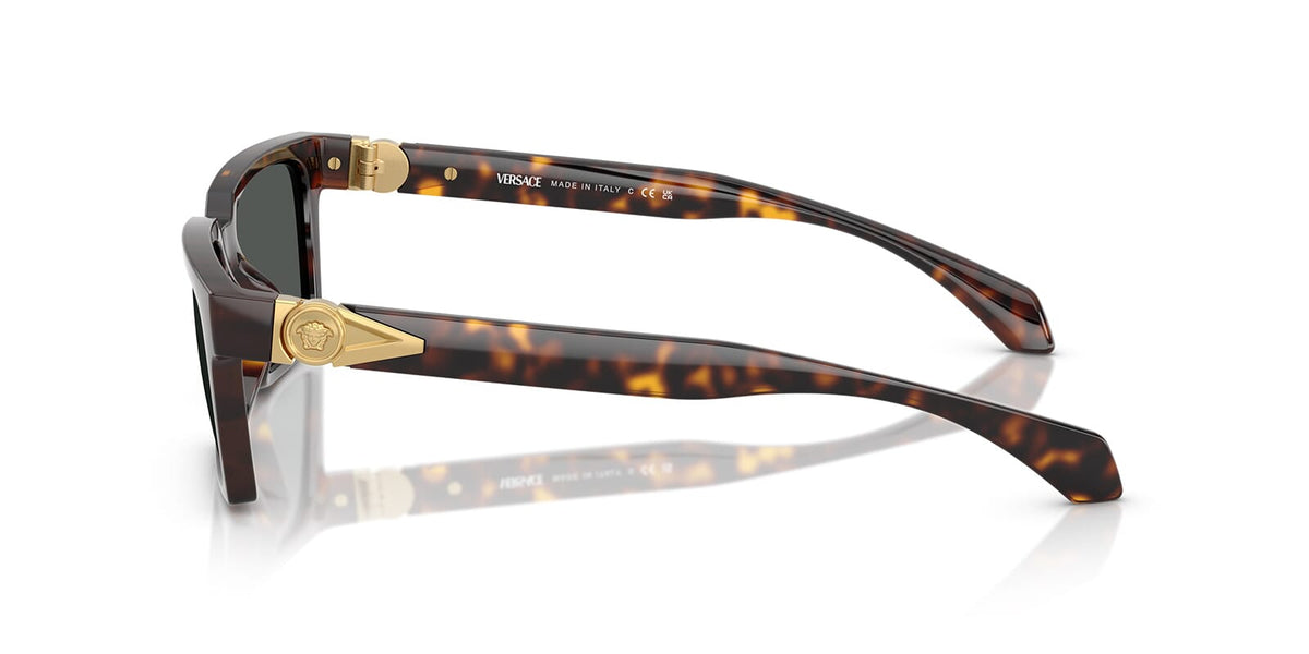 Versace 4490U 108/87 Sunglasses