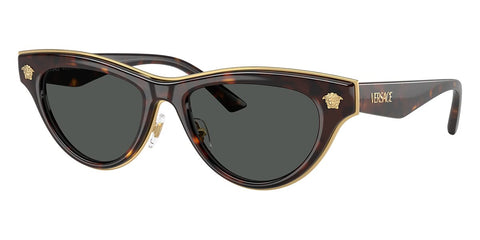 Versace 2273 108/87 Sunglasses