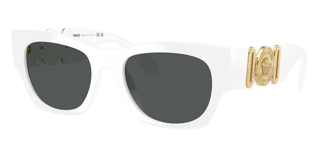 Versace 4479U 314/87 Sunglasses