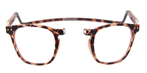 CliC Manhattan Tortoise