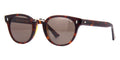 Cutler and Gross 1336 03 Dark Turtle 01