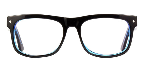 Carnegie Optical AP13D Glasses