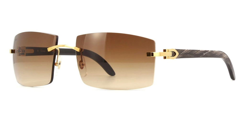 Cartier CT0021RS 001 Sunglasses