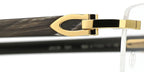 Cartier Buffalo Horn CT0049O 001 7LJ