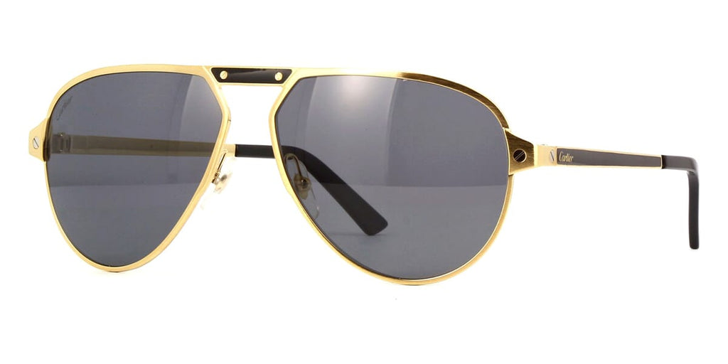 Cartier CT0101S 001 Polarised Sunglasses - US