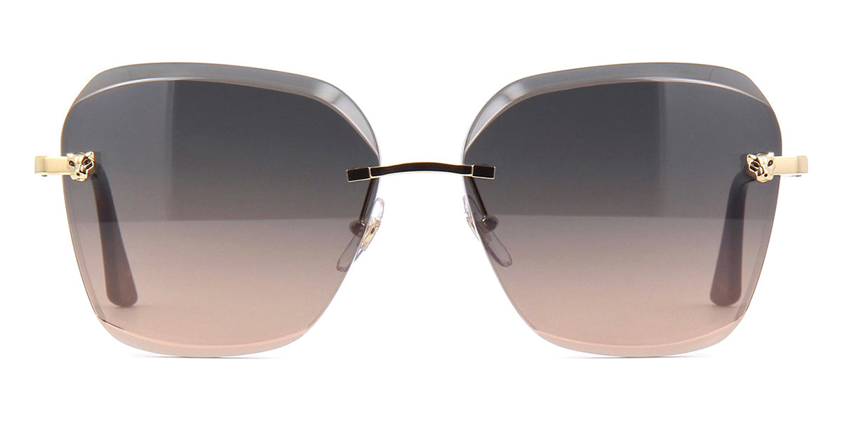 cartier ct0147s 002