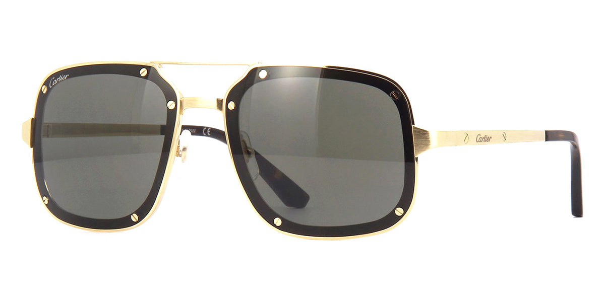 cartier ct0194s 002