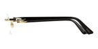 Cartier CT0287O 001 Glasses