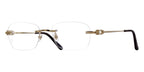 Cartier CT0290O 003 Glasses