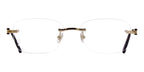 Cartier CT0290O 003 Glasses