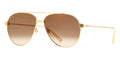 Cartier CT0298S 002 Sunglasses