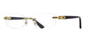 Cartier CT0318O 001 Glasses
