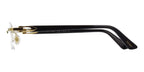 Cartier CT0318O 001 Glasses