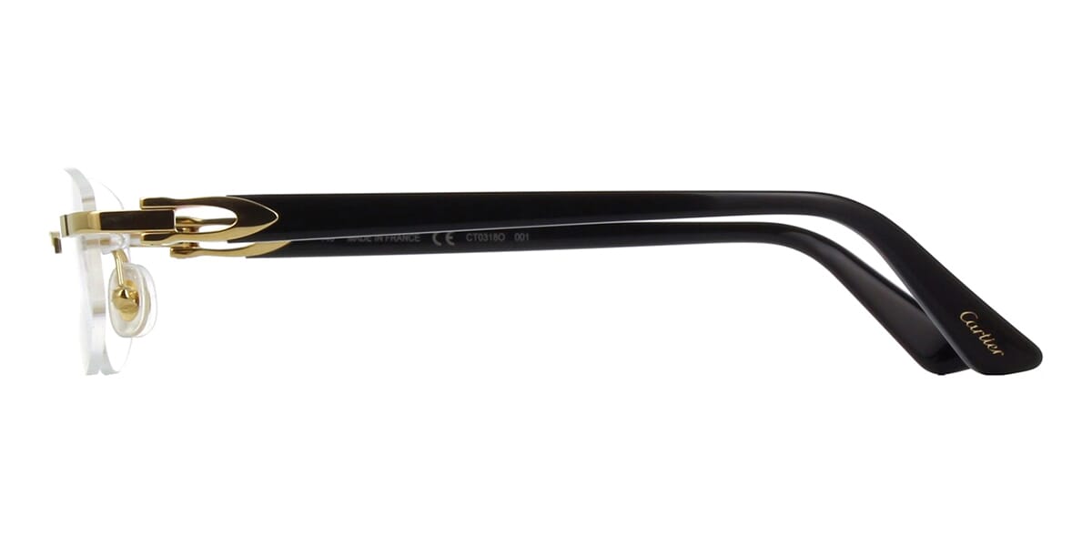 Cartier CT0318O 001 Glasses