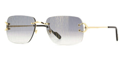 cartier-ct0330s-008-hd-