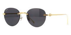 cartier ct0331s