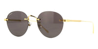 Cartier CT0393S 002