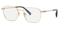 Chopard VCH G38 0300 Glasses