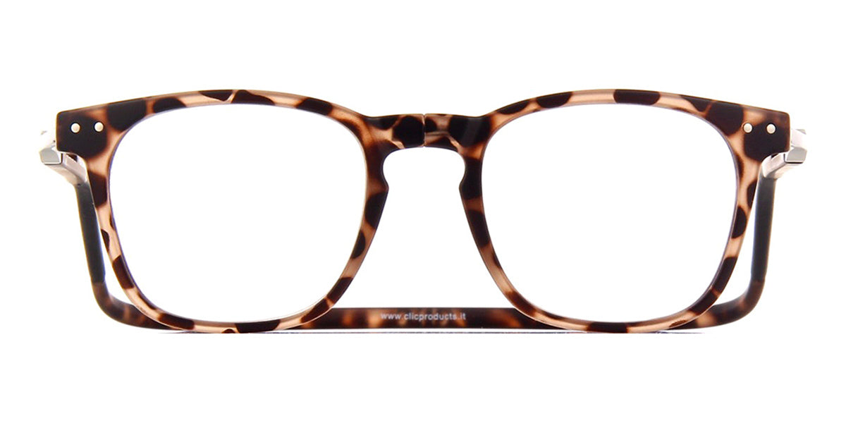 clic manhattan tortoise
