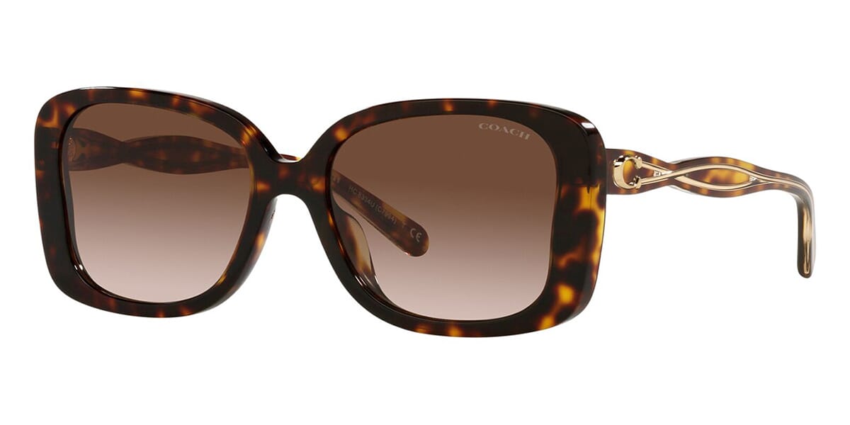 COACH 8141 SUNGLASSES at AtoZEyewear.com