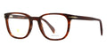 David Beckham DB 1107 EX4 Glasses