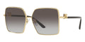 Dolce&Gabbana DG2279 02/8G Sunglasses