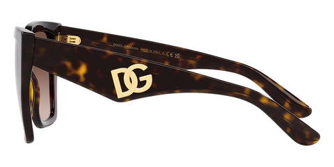 Dolce&Gabbana DG4438 502/13 Sunglasses