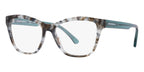 Emporio Armani EA3193 5097 Glasses