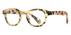 Izipizi C C69 Light Tortoise Readers