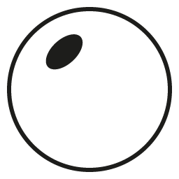1.5 Truoptics Fashion Lens