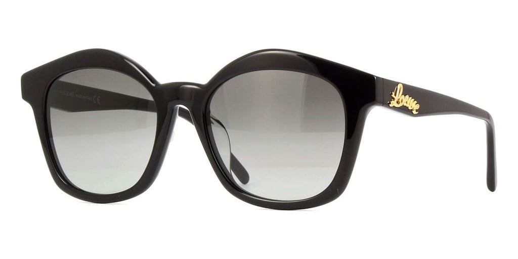 Loewe LW40079U 01B Browline Sunglasses Black